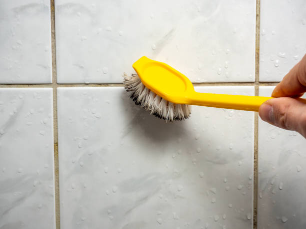 Mold Removal and Inspection in Brentwood, TN