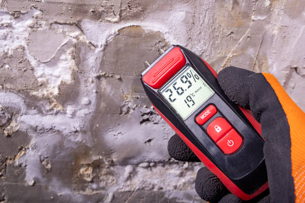 Best Commercial Mold Removal  in Brentwood, TN
