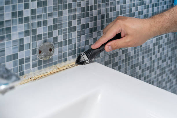 Best Fast Mold Removal  in Brentwood, TN